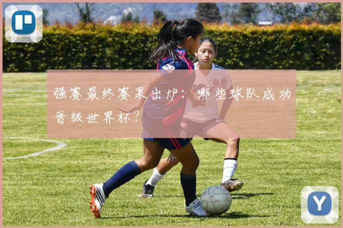 强赛最终赛果出炉：哪些球队成功晋级世界杯？