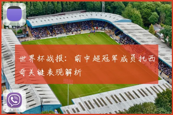 世界杯战报：前中超冠军成员托西奇关键表现解析
