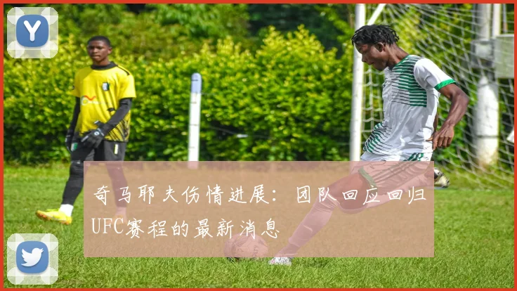 奇马耶夫伤情进展：团队回应回归UFC赛程的最新消息