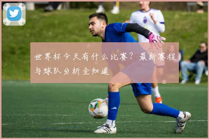 世界杯今天有什么比赛？最新赛程与球队分析全知道