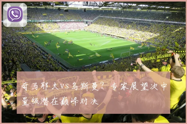 奇马耶夫vs乌斯曼？专家展望次中量级潜在巅峰对决