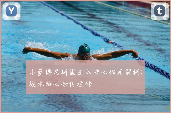 小萨博尼斯国王队核心作用解析:战术轴心如何运转