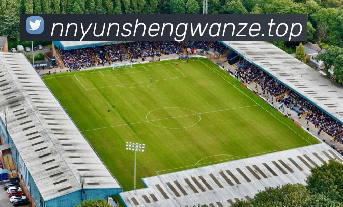 米兰app官网登录入口平台生态图