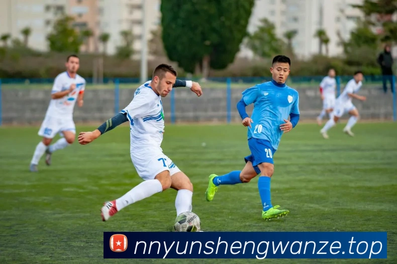 米兰app官网登录入口APP 封面图